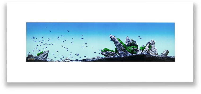 Aquascape 1 akvárium na stěnu natureWall