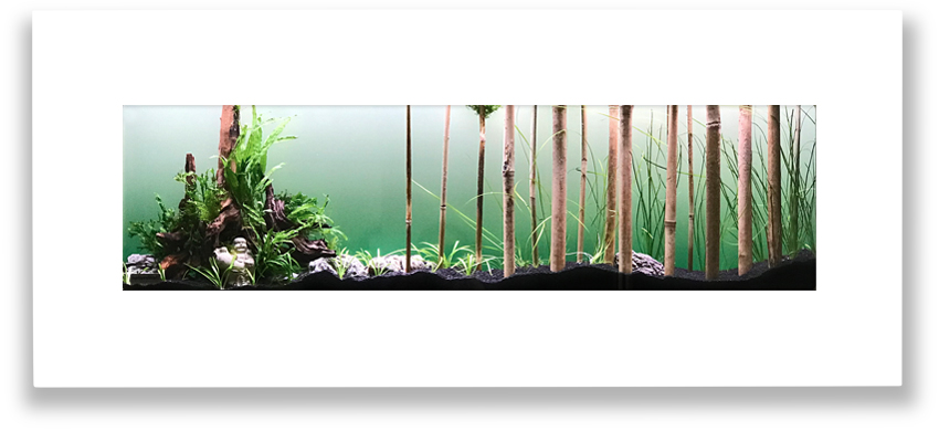 Aquascape 3 akvárium na stěnu natureWall