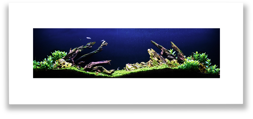 Aquascape 5 akvárium na stěnu natureWall
