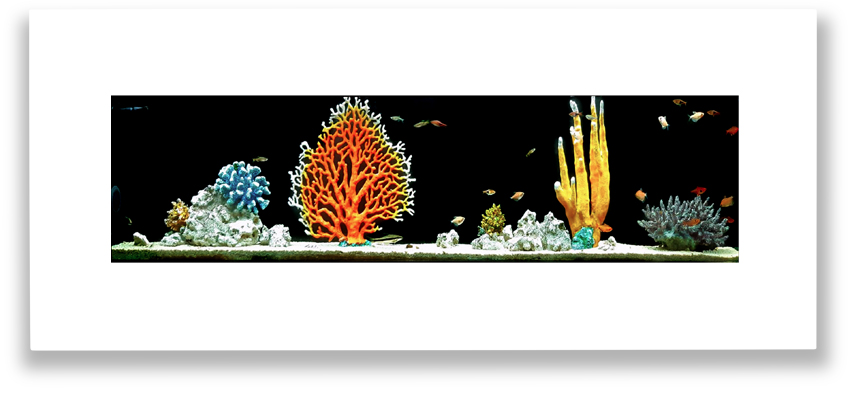 Aquascape 8 akvárium na stěnu natureWall