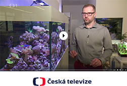 Akvaria.cz