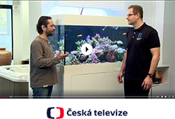 Akvaria.cz Česká televize