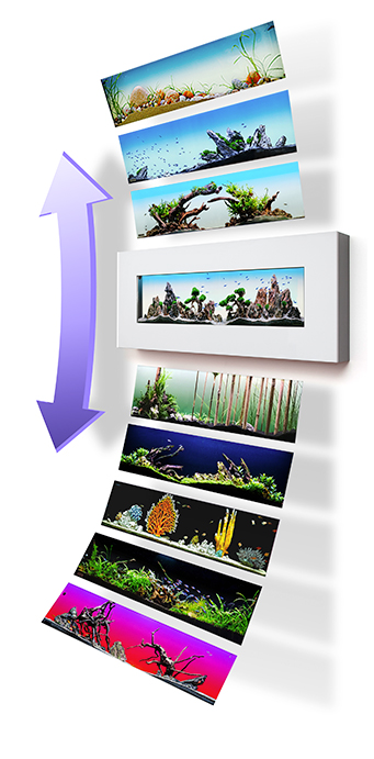Vyberte si svůj layout pro nástěnné akvárium natureWall