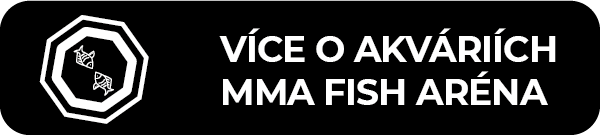 Akvária MMA Fish Aréna