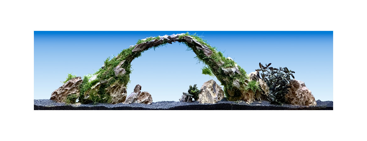 Layout natureWall 06 Měsíční brána