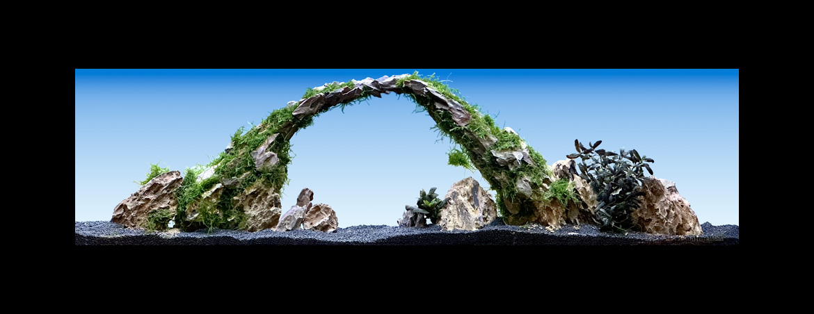 Layout natureWall 06 Měsíční brána