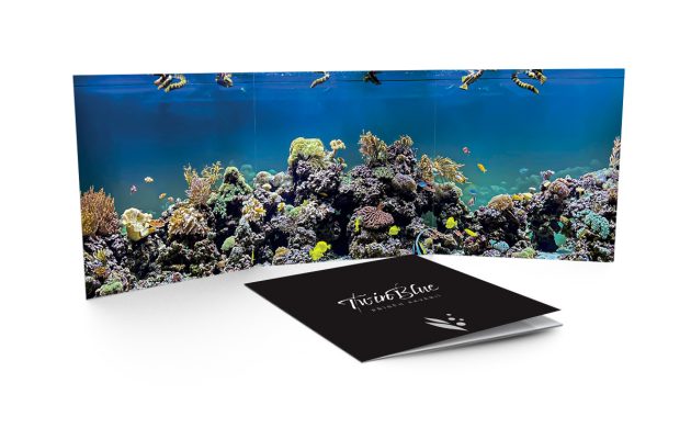 Brožura Twin Blue ke stažení