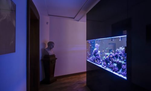 Mořské privátní akvárium o objemu 1900 litrů v Betlémské