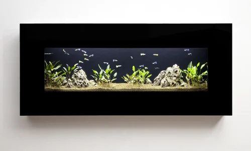 Nástěnné akvárium natureWall v interiéru