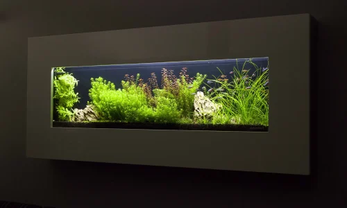 Nástěnné akvárium natureWall v interiéru