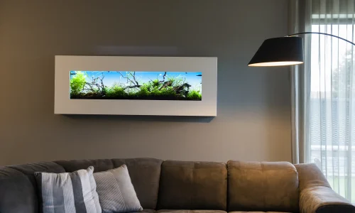 Nástěnné akvárium natureWall v interiéru