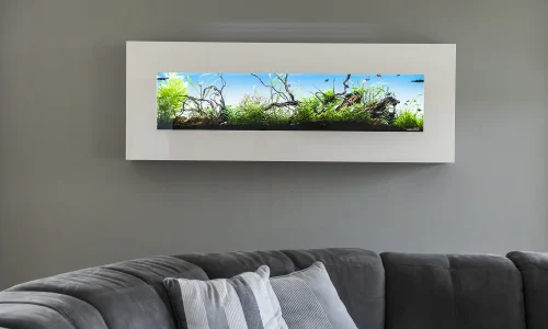 Nástěnné akvárium natureWall v interiéru