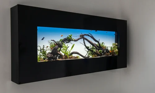 Nástěnné akvárium natureWall v interiéru