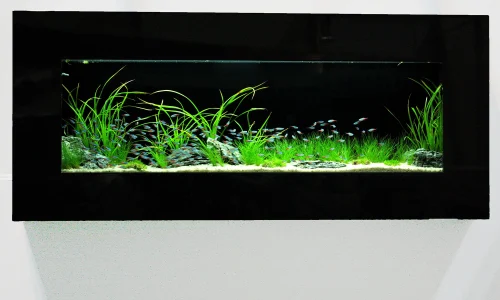 Nástěnné akvárium natureWall v interiéru