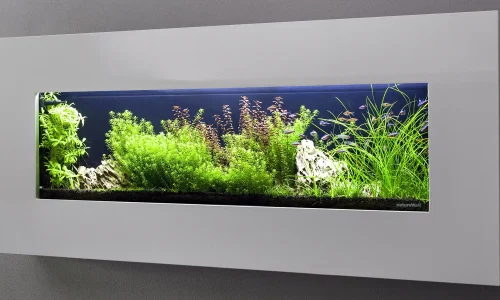Nástěnné akvárium natureWall v interiéru