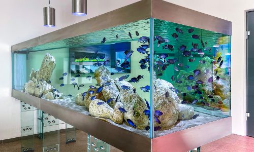Levitující akvárium o objemu 4000 litrů