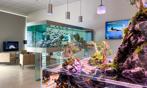 Showroom plný akvárií
