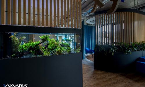 Luxusní sladkovodní akvárium na míru v pražské Waltrovce o objemu 1000 litrů