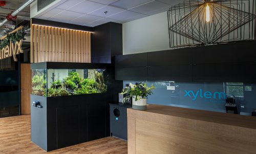 Luxusní sladkovodní akvárium na míru v pražské Waltrovce o objemu 1000 litrů