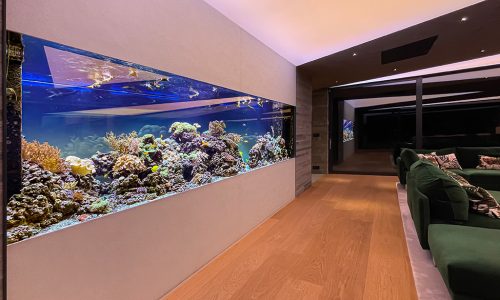 Twin Blue korálové akvárium