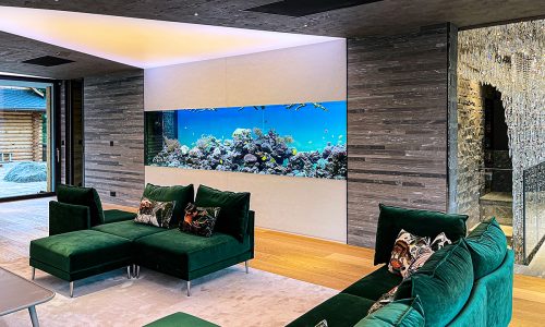 Twin Blue korálové akvárium