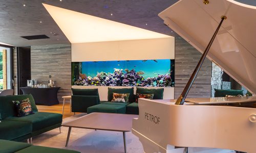 Twin Blue korálové akvárium